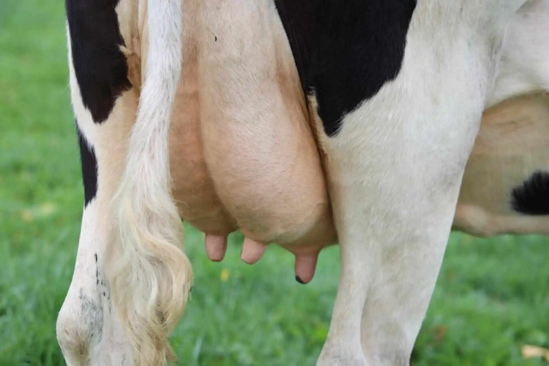 BACL more impacts 2025 (8)