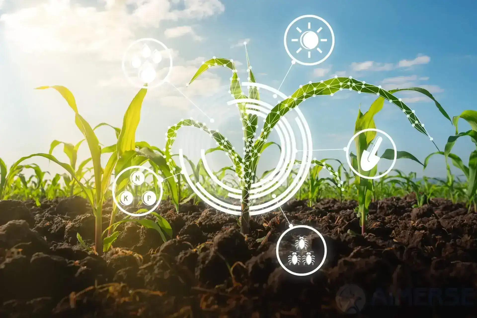 BACL web image 2025 (10)