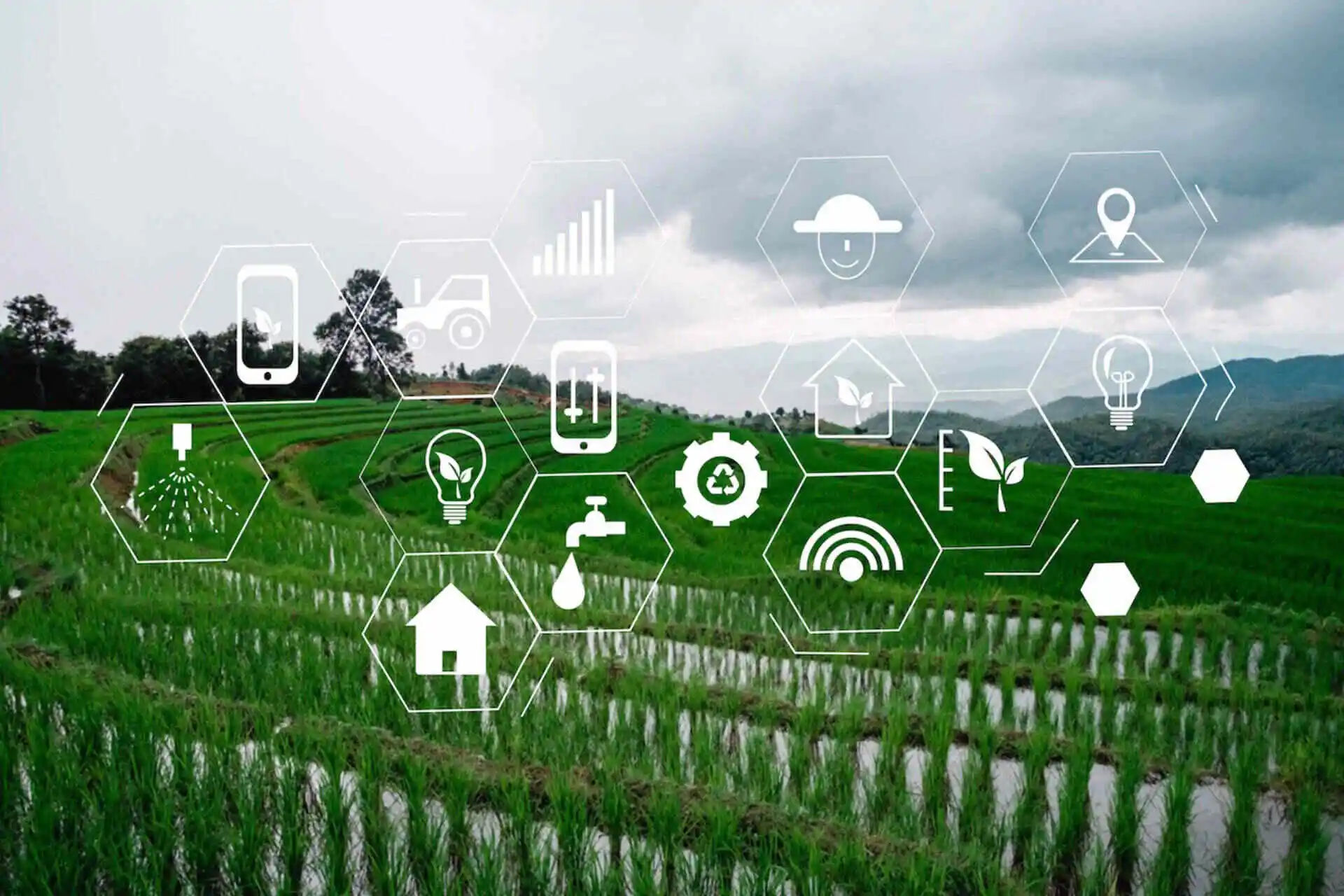 BACL web image 2025 (6)