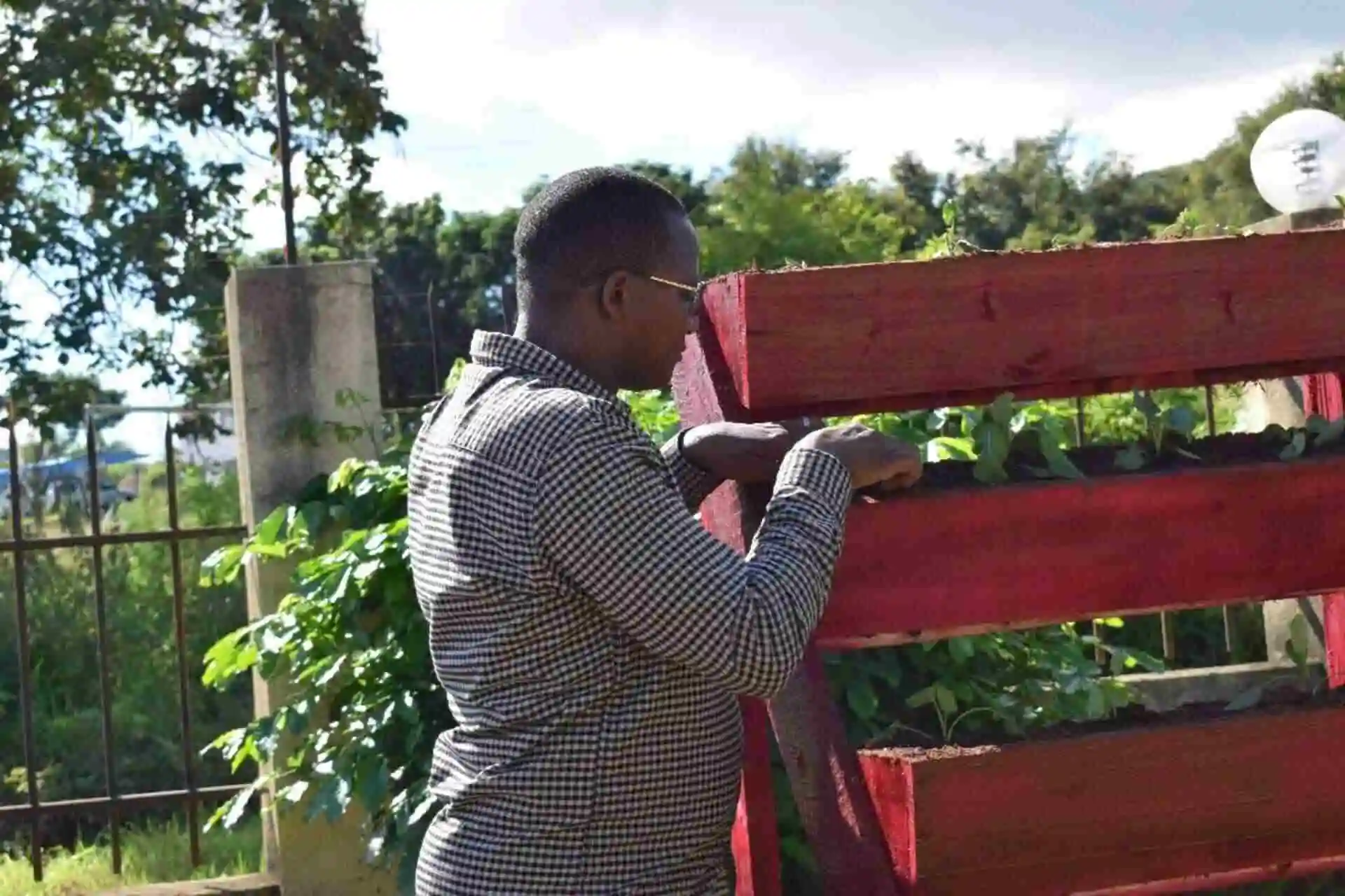 Busega field images 2025 (4)