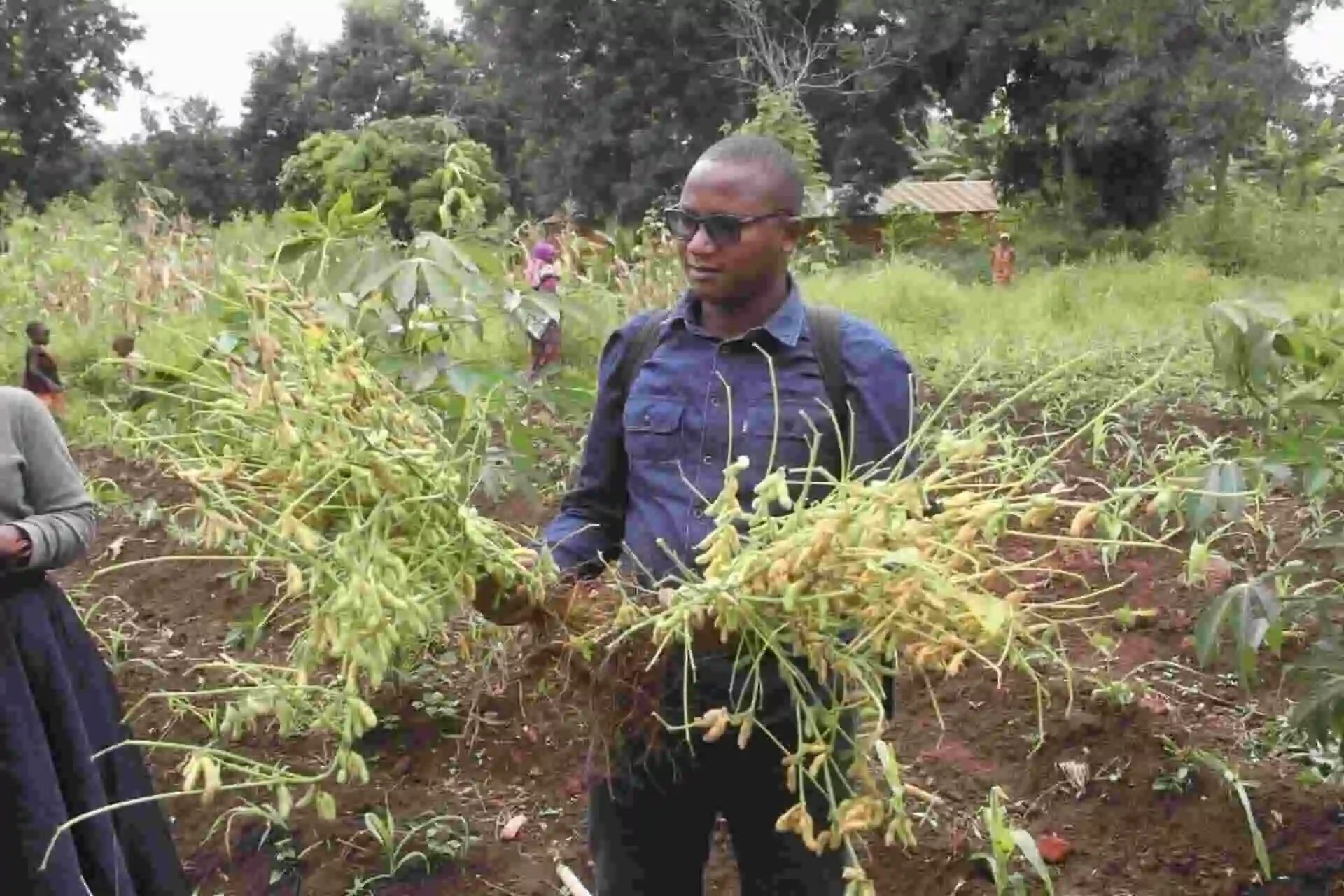 Busega field images 2025 (5)